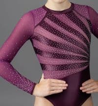 Aurora Leotard Satin Blackberry