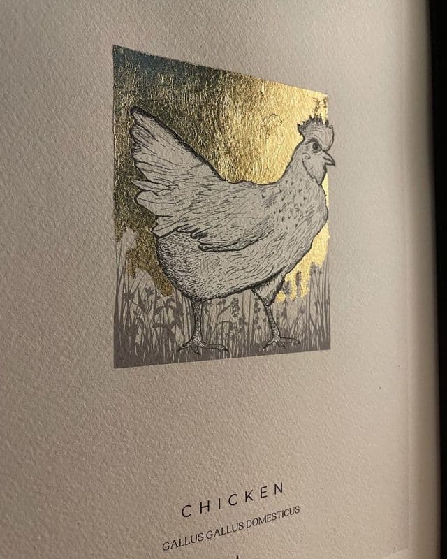 Golden Girl - Chicken