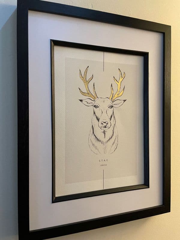Stag