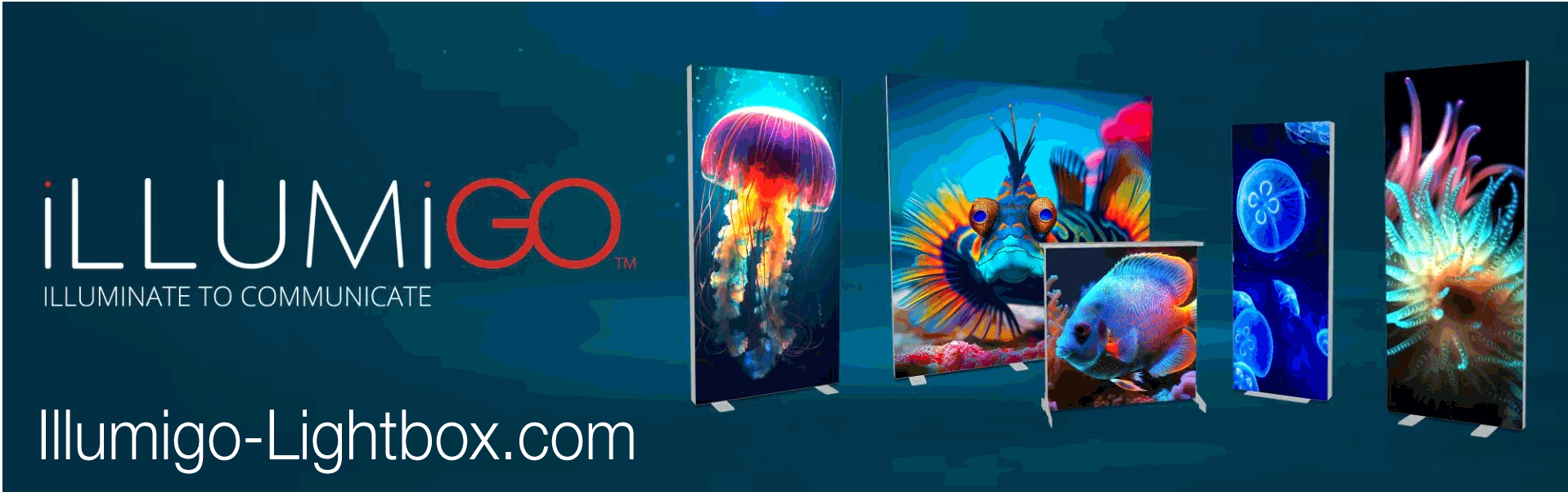 iLLUMiGO LITE LED Lightbox