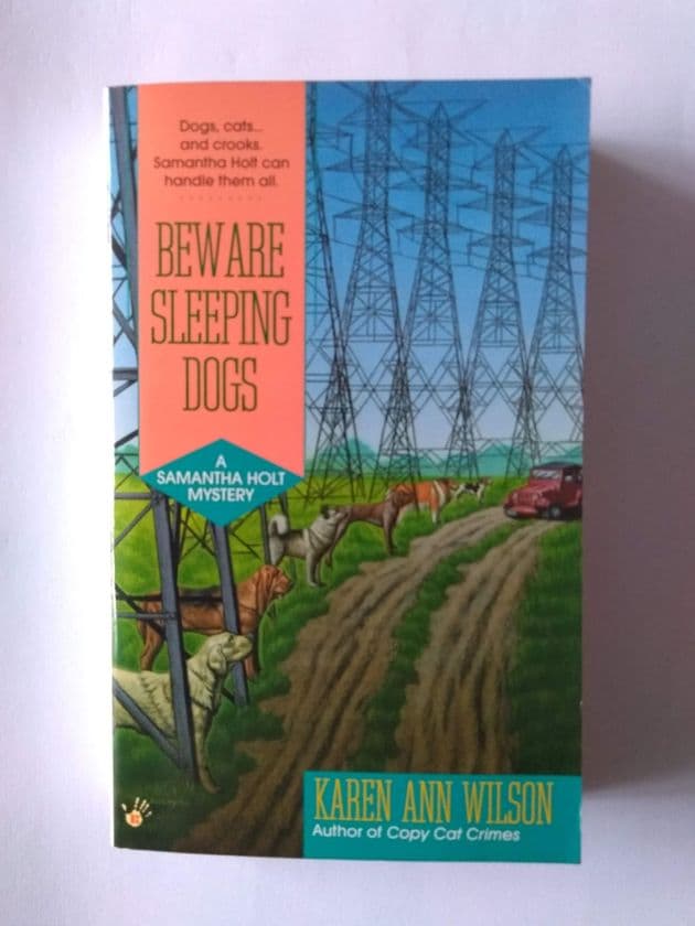 BEWARE SLEEPING DOGS BY KAREN ANN WILSON (PAPERBACK)