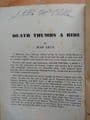 BLACK CAT: DEATH THUMBS A RIDE by Jean Lilly  (No.6 )  (Paperback)