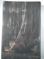 RUN FROM THE HUNTER by Charles BEAUMONT (Signed Limited Edition) (Hardcover)