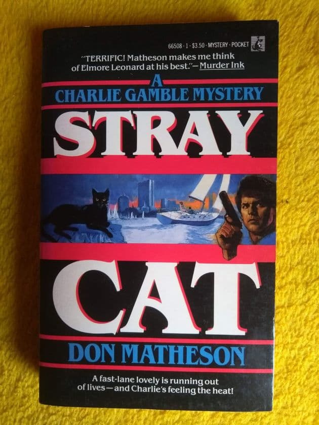 STRAY CAT by DON MATHESON  (Paperback)