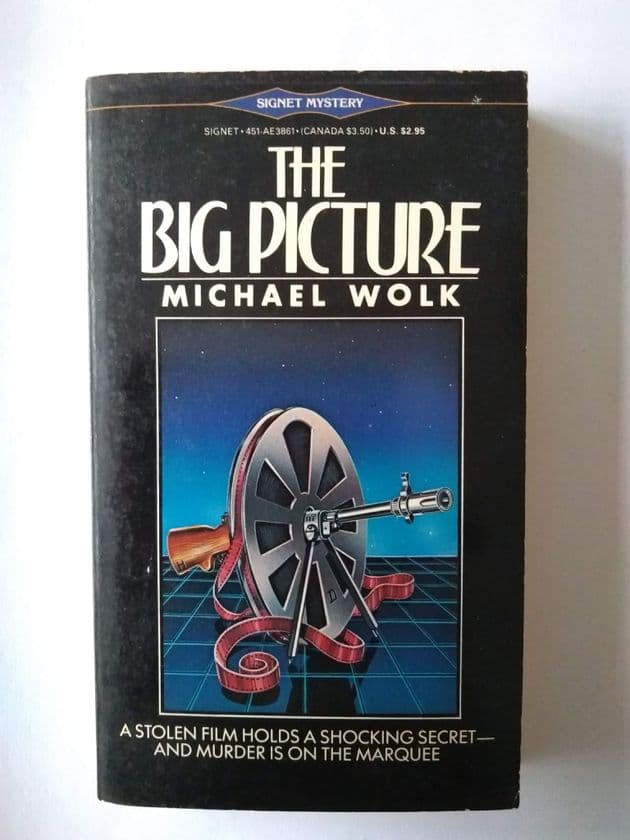 THE BIG PICTURE BY MICHAEL WOLK (PAPERBACK)