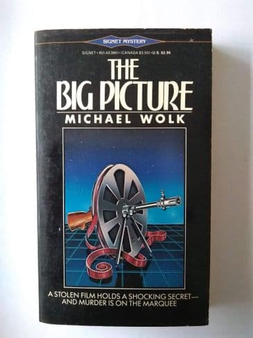 THE BIG PICTURE BY MICHAEL WOLK (PAPERBACK)