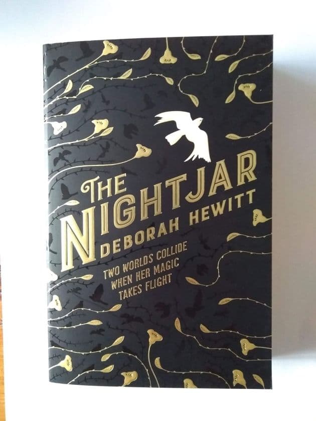 THE NIGHTJAR by Deborah HEWITT (Paperback)
