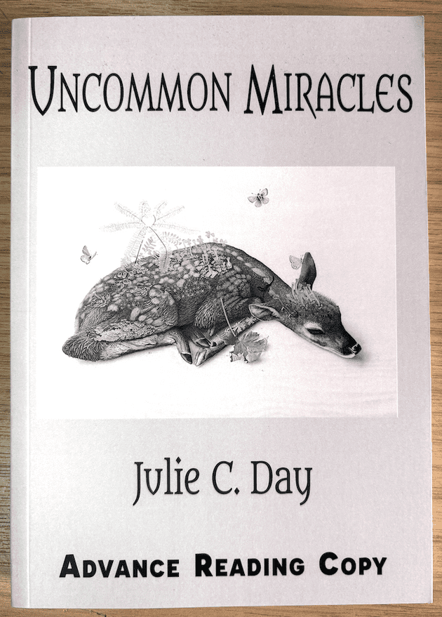 Uncommon Miracles [ARC paperback] by Julie C. Day