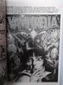 VAMPIRELLA CRIMSON CHRONICLES VOLUME 2 (Paperback)