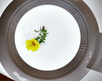 1.75X Long Reach Floor Stand and G-Clamp Magnifier Wide Lens, Daylight LED changeable Lens