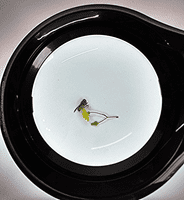 3X  Long Reach,  Black, Articulated Arm, G-Clamp Magnifier, Wide Lens, Dimmable Daylight LED