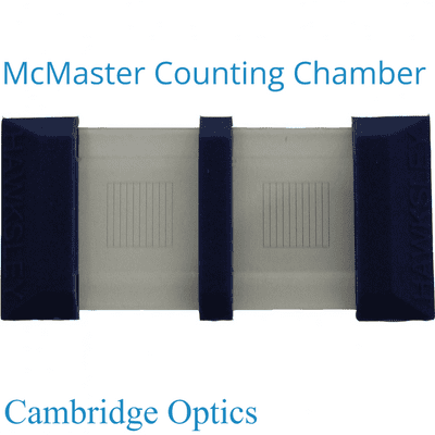Neubauer, McMaster Counting Chambers