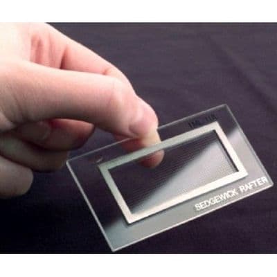 Sedgewick Rafter Counting Chambers