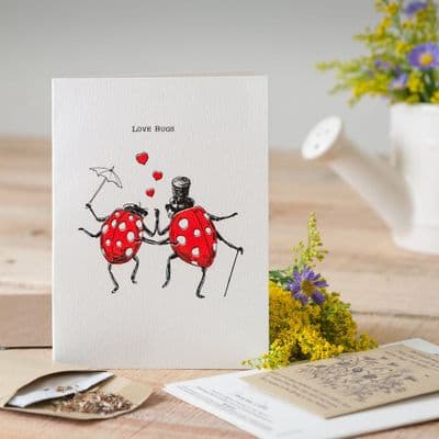 Gorgeously Different 'Love Bugs' Greeting Card with Packet of Wildflower Seeds