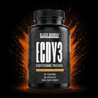 ECDY3 - OUT NOW