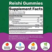 Fungies, Reishi Mushroom Gummies, Delicious Apple, 60 Pectin Gummies