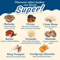 MUSHROOM SUPERBLEND 160G
