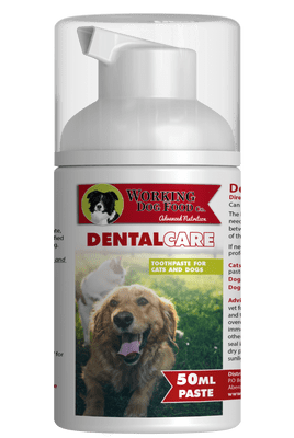 Dental Care Paste Enzymatic Toothpaste Dogs & Cats