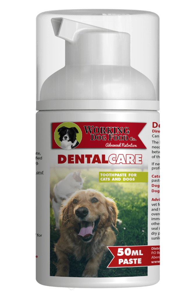 Dental Care Paste Enzymatic Toothpaste Dogs Cats