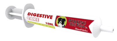 Digestive Care Paste Probiotic & Prebiotic Support Dogs
