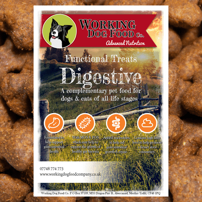 Digestive Treat 25 x 70g