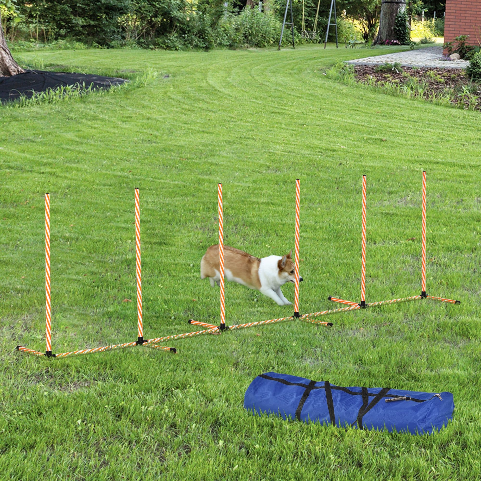 Obstacle Course Set Dog Agility Weave Poles Training Obstacle Course Set Slalom Equipment w ...