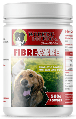Fiber Care Probiotic Powder Dogs & Cats