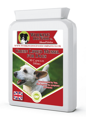 Green Lipped Mussel For Dogs 90 Capsules