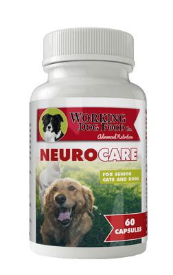 Neuro Care