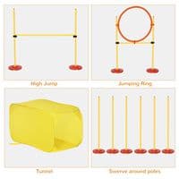 Outdoor 4 PCs Dog Pet Agility Training Equipment Backyard Starter Course Set