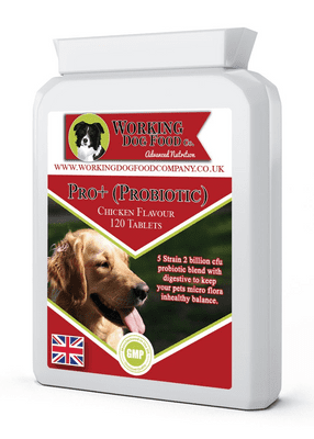 Pro+ (Probiotic) 120 Chicken Flavour Tablets