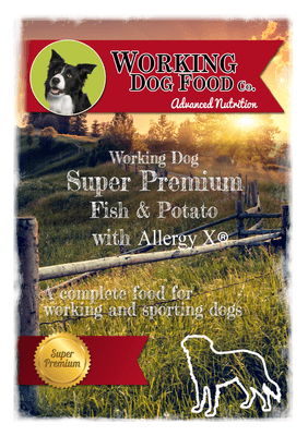 Super Premium Hypoallergenic Adult Fish & Potato (Allergy-X® Itch-Eeze), Complete Dry Working 15kg