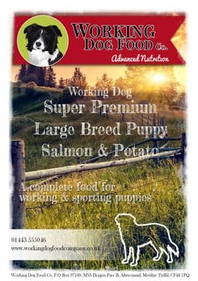 Super Premium Hypoallergenic Large Breed Puppy/Junior Salmon & Potato Complete Dry Working Dog 15kg