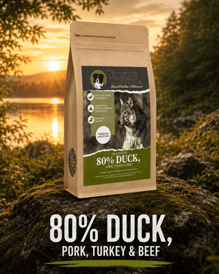 Wilderness80 Working Series – Duck