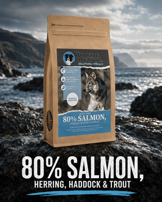 Wilderness80 Working Series – Salmon