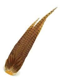 Cock Pheasant Complete Tails Natural