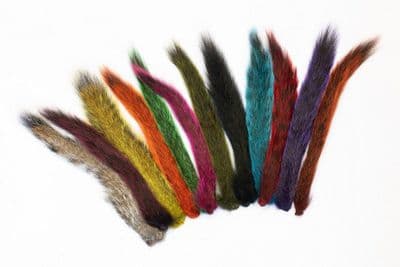 Grey Squirrel Tail