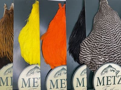 METZ Hen Neck Grade 1