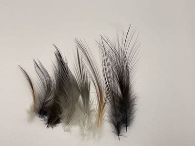 Spey Hackles