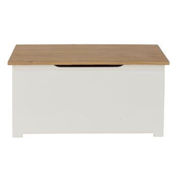 Colorado Ottoman Storage Box