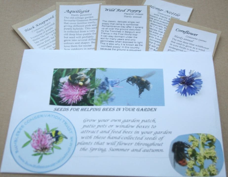 Bees flowers seed collection