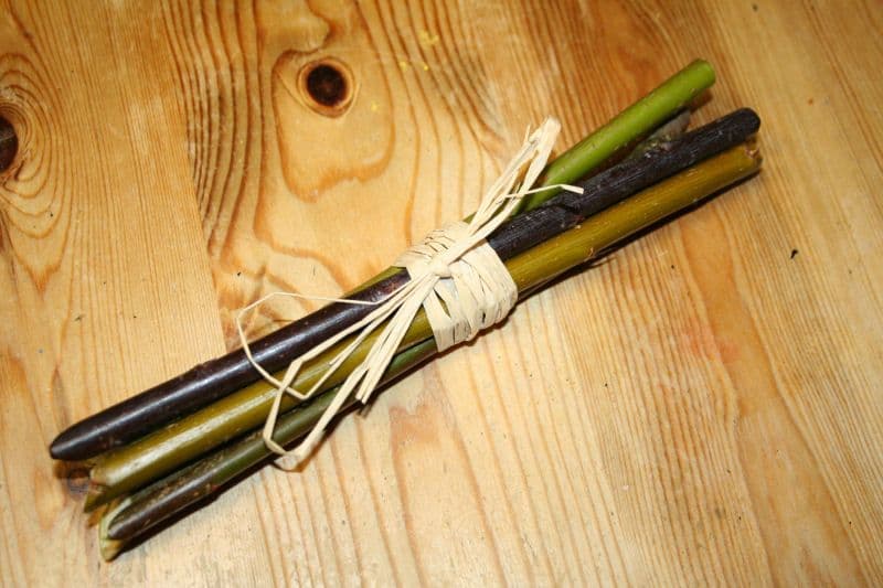 Willow different colours for making baskets and structures; collection cuttings available Nov