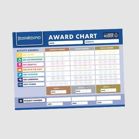 JUNIORS AWARD CHART - PACK OF 10