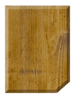 BARRETTINE Nourish & Protect Wood Preserver 5L Light Brown WOLB005