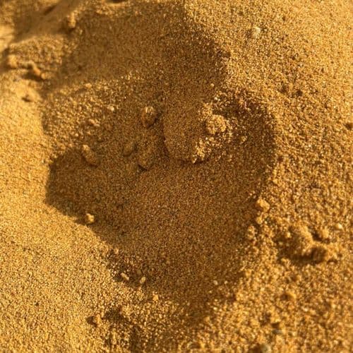 HBS Building Sand (Potton Red) Bulk Bag