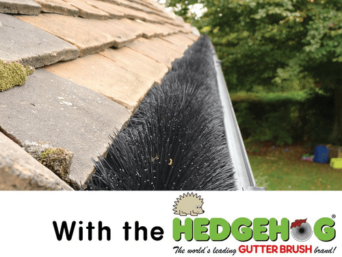 HEDGEHOG Gutterbrush 4M x 100mm Black HHGB4M100MMBL