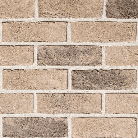 TBS St Andrew Multi Brick Slip Stretcher (Blend 3) Box 30