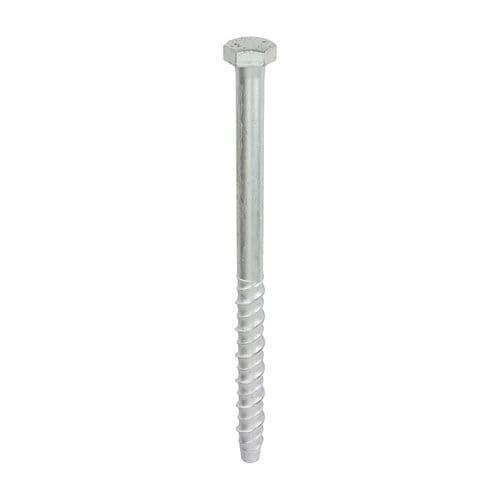 TIMCO 12.0x200mm Multi-Fix Masonry Bolt Hex Head (Box 25) MF12200