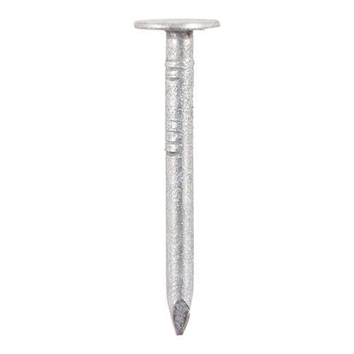 TIMCO 2.65x30mm Clout Nail - Galvanised 1kg GCN30B