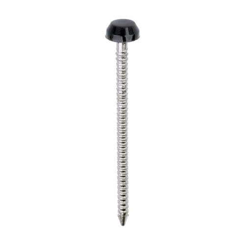 TIMCO 40mmx2.1mm S/Steel Pins (Polymer Head) Anthracite Grey (Box 250) PP40AG